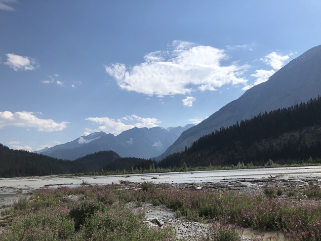Howse River Floodplain