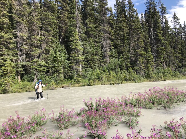 Crossing a braid of the Howse