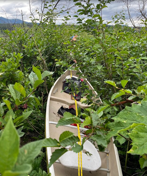 Nation Lakes Highlight Pic - Dragging our canoe through willows to avoid a log jam